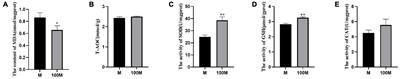 Antioxidant, Transcriptome and the Metabolome Response to Dietary Astaxanthin in Exopalaemon carinicauda